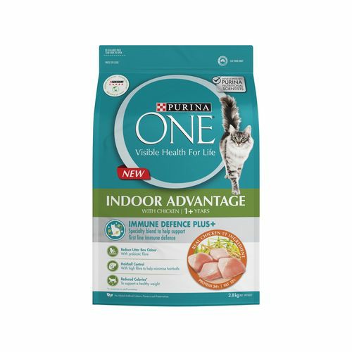 2.8Kg Indoor Advantage With Chicken Dry Cat Food Cats