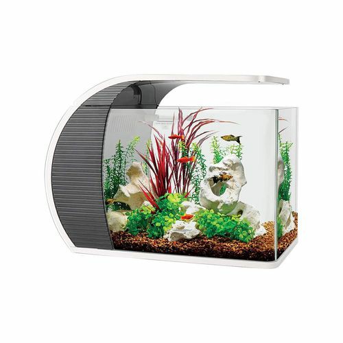 23L Arc-Shaped Fish Tank Aquarium W/ Led Lighting, Hidden Filtration Box Fish