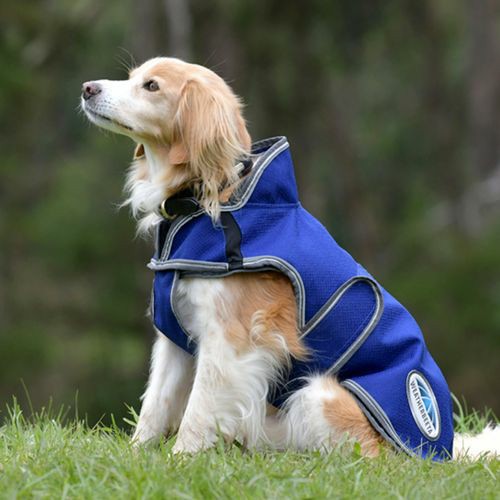 25Cm Dark Blue/Grey/White Comfitec Premier Free Duo Deluxe Parka Dog Coat Coats And Jackets