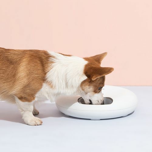 6 Meal Automatic Pet Dog Cat Food Feeder Dispenser Cats