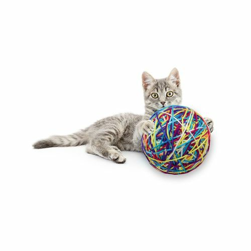 9Cm Cat Toy Wool Ball W/ Rattle Cats