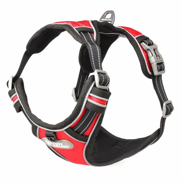 Black-Red Harness Dogs