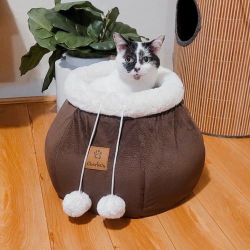 Cat Bed – Chocolate Beds