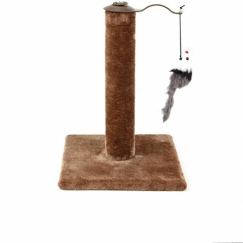 Cat Kitten Single Scratching Post With Toy-Brown Cats