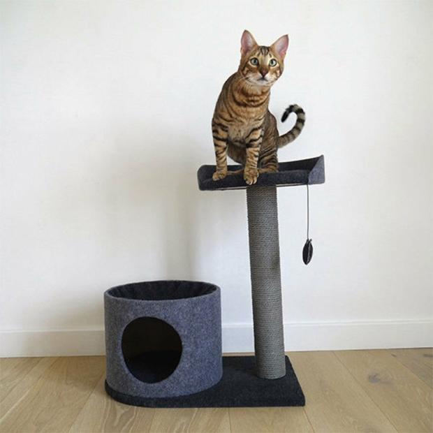 Charcoal Felt Cat House And Perch Cats