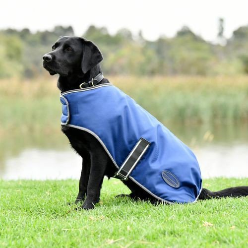 Comfitec Windbreaker Free Dog Coat 40Cm – Dark Blue/Grey/White Coats And Jackets