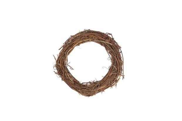 Curly Vine Ring Small Pets