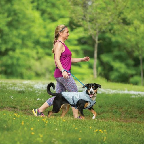 Dog Core Cooling Vest – Large – Light Blue Coats And Jackets