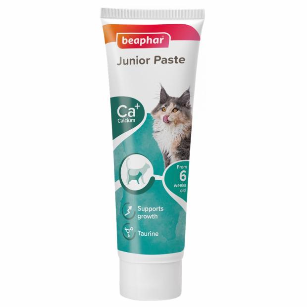 Duo Active Paste Junior Cat 100G Cats