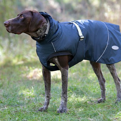 Explorer Medium Dog Coat 35Cm – Navy Blue Coats And Jackets