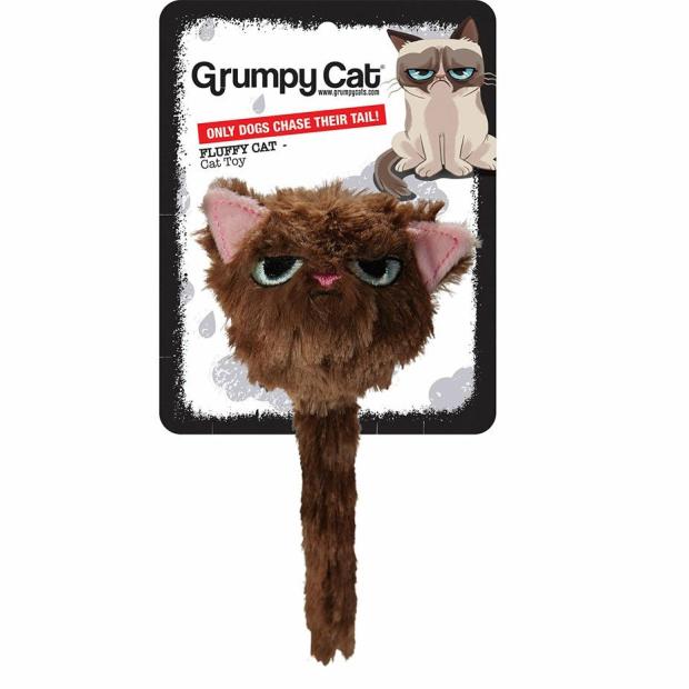 Grumpy Cat Fluffy Grumpy Cat Cats