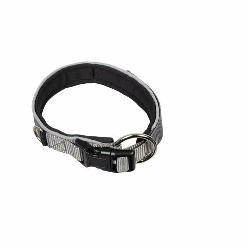 Large Explorer Dog Collar Dogs