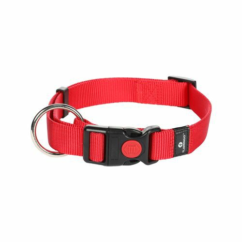 Large Red Ziggi Dog Collar Dogs