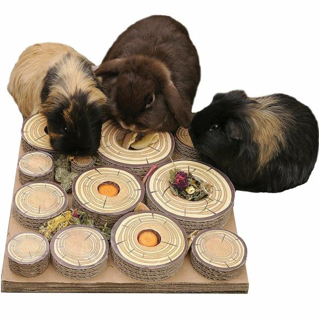 Maze-A-Log Treat Challenge Small Pets