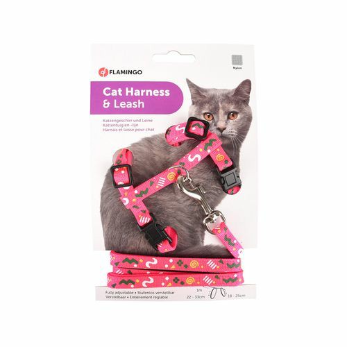 Multiple Colours Party Cat Walking Harness With Leash – 18-25Cm Cats