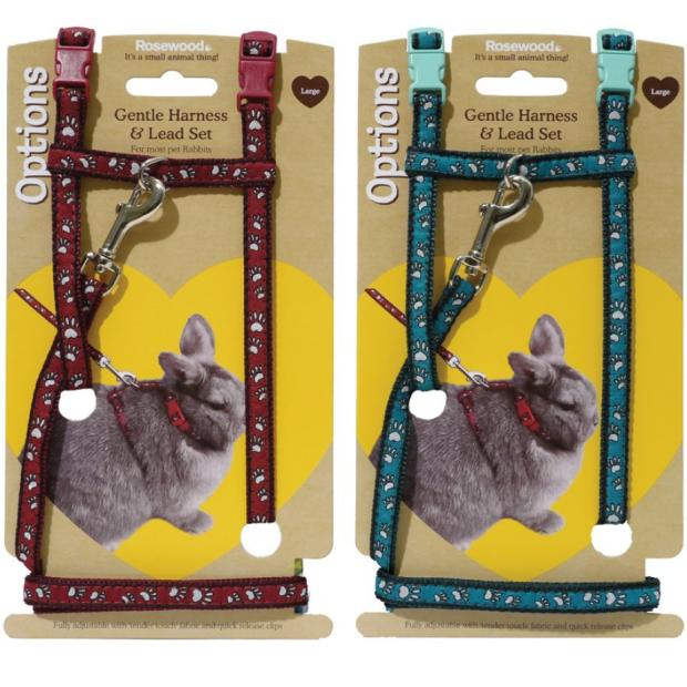 Paw Print Harness And Lead Set – Large Harness