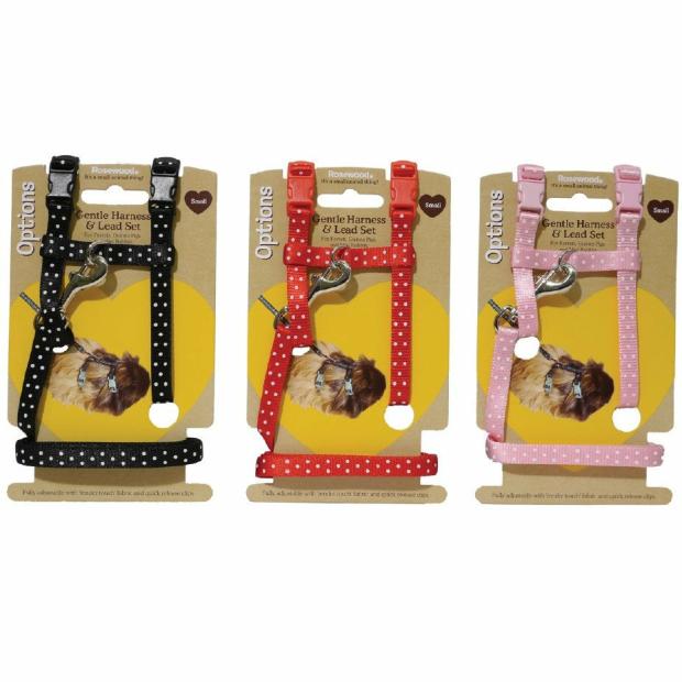 Polka Dot Harness & Lead – Small Small Pets