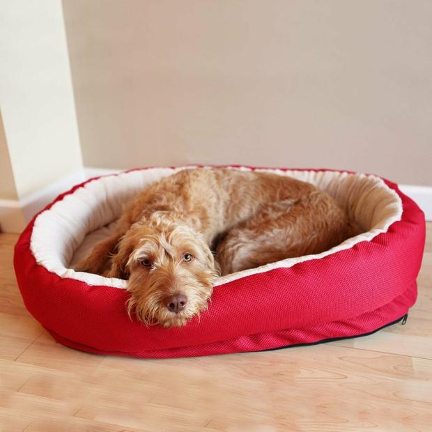 Red Orthopedic Bed Beds