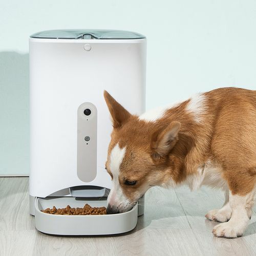 Smart Automatic Pet Dog Cat Rabbit Feeder Smartphone Camera App For Iphone Android Cats