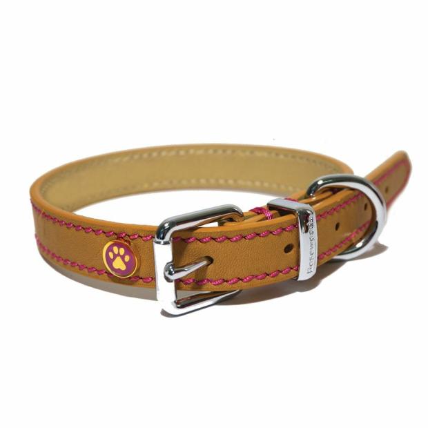 Tan Leather Collar Dogs