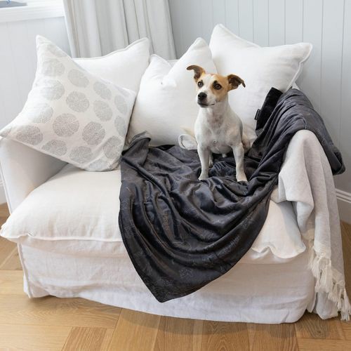 Thumb Luxe Soft Minky Pet Blanket – Medium – Charcoal Beds