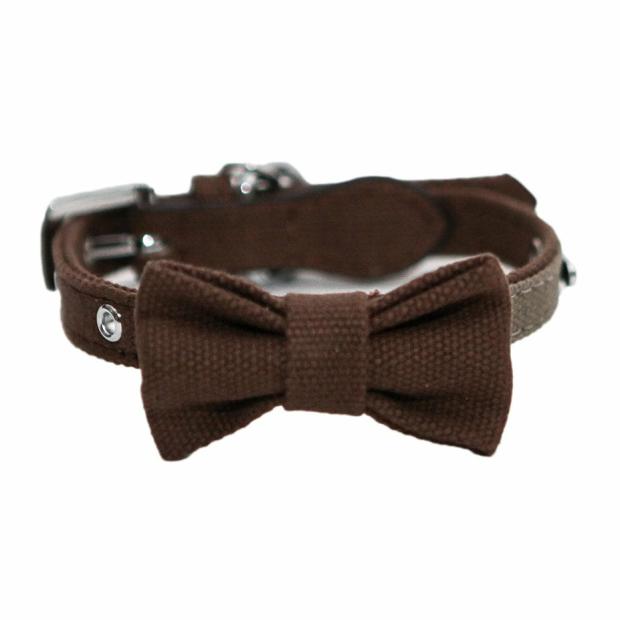 Truffle/Taupe Bow Collar Dogs