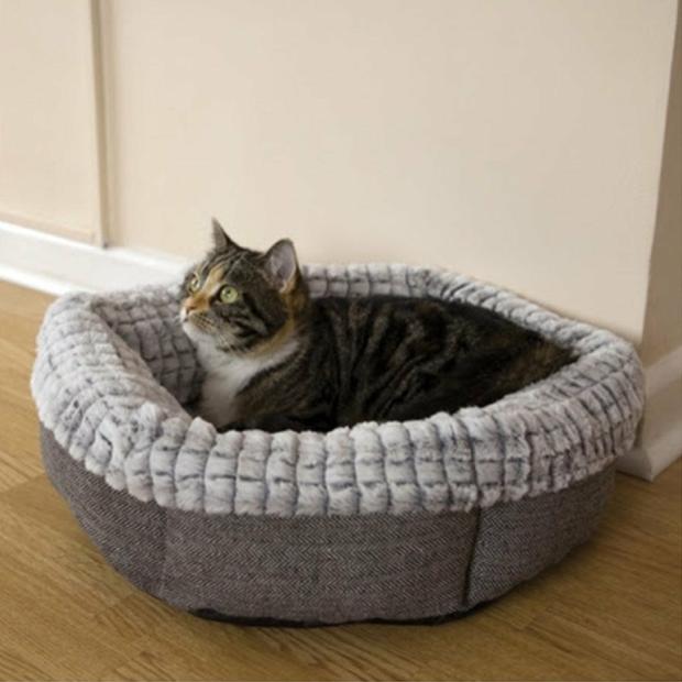 Tweed & Plush Bed 19 Inch Beds