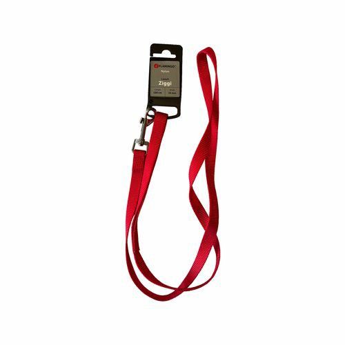 Ziggi 13 X 1.5Cm Red Dog Leash Dogs